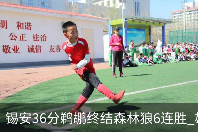 锡安36分鹈鹕终结森林狼6连胜 雄鹿险胜公牛